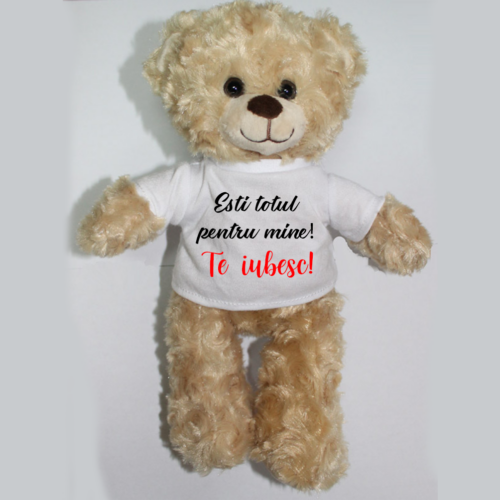 Ursulet cu tricou personalizat cu text